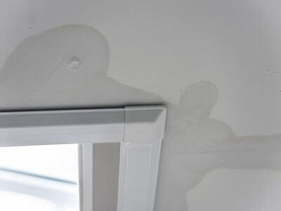About Mold Removal Fountain Hills - mold removal fountain hills experts in Fountain Hills